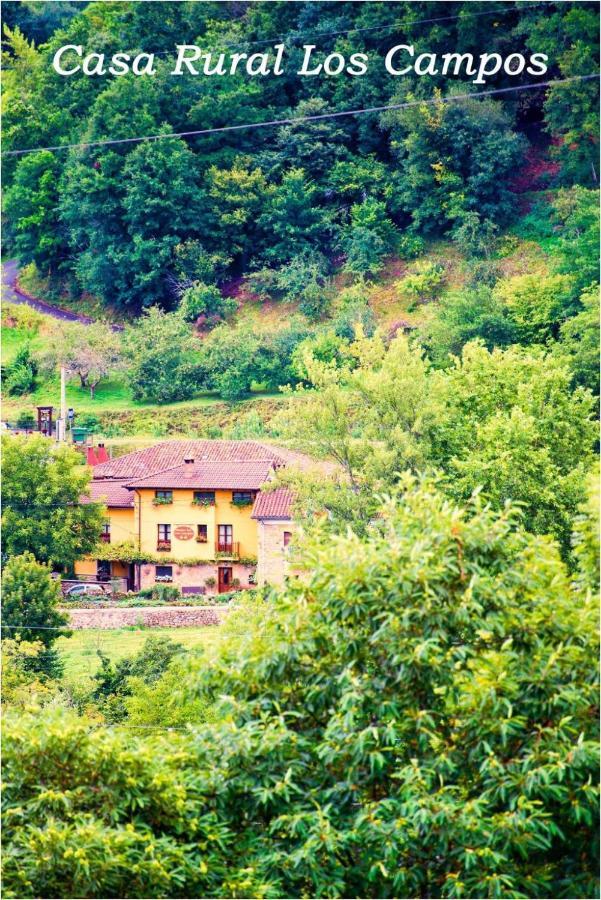 Casa Rural Los Campos Corao Eksteriør billede