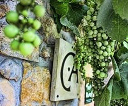 Casa Rural Los Campos Corao Eksteriør billede