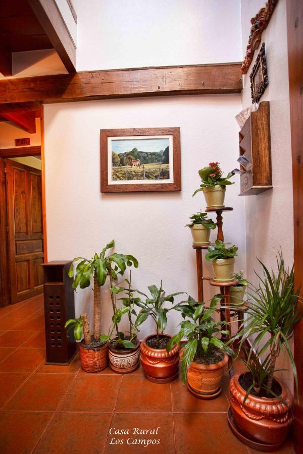 Casa Rural Los Campos Corao Eksteriør billede