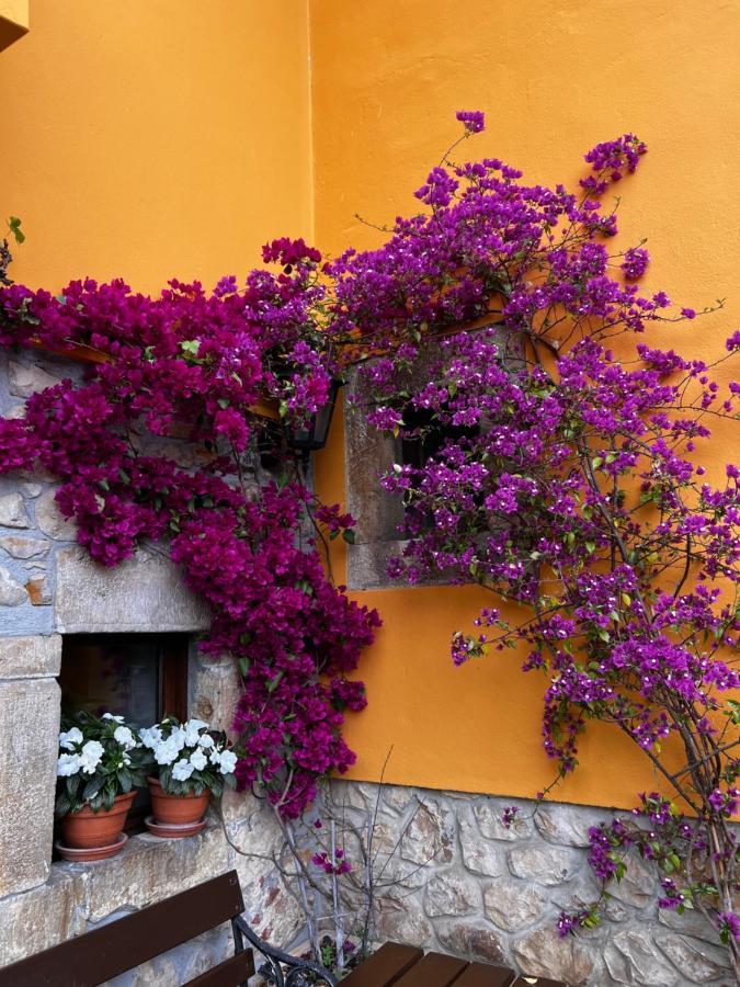 Casa Rural Los Campos Corao Eksteriør billede
